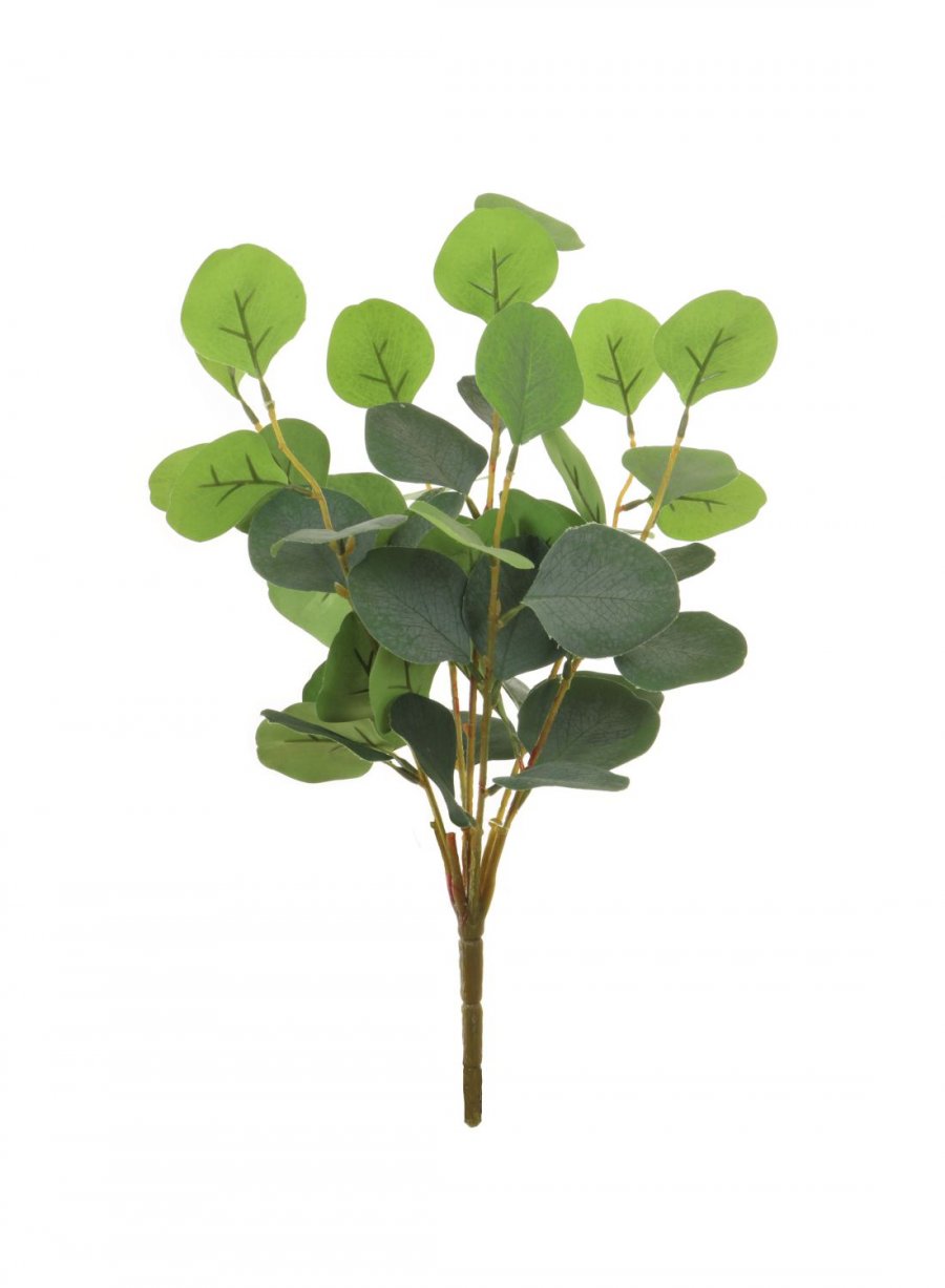 Silk Sml Silver Dollar Euc Bunch N. Grn