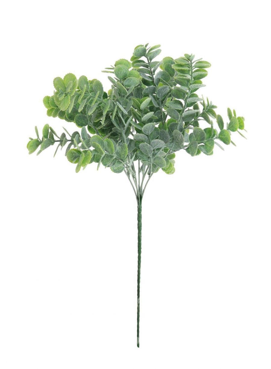 Elijah Eucalyptus Spray Natural Green