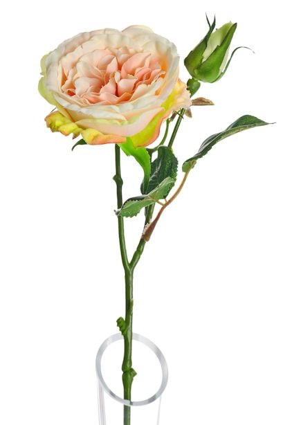 Lydia Cabbage Rose Spray Peach