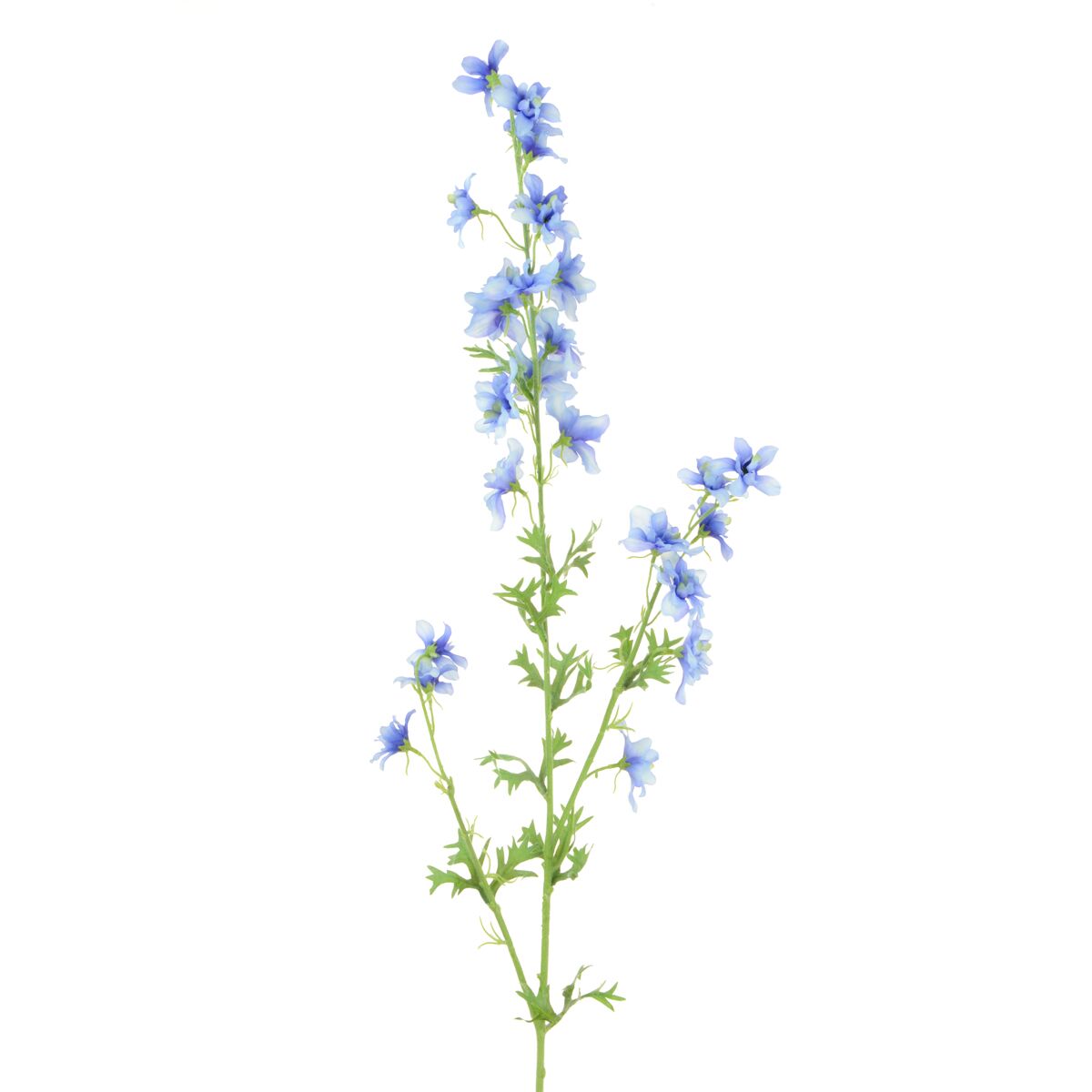 Wild Delphinium Spray X 3 93cm