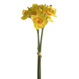 Daffodil Bundle Yellow And Orange
