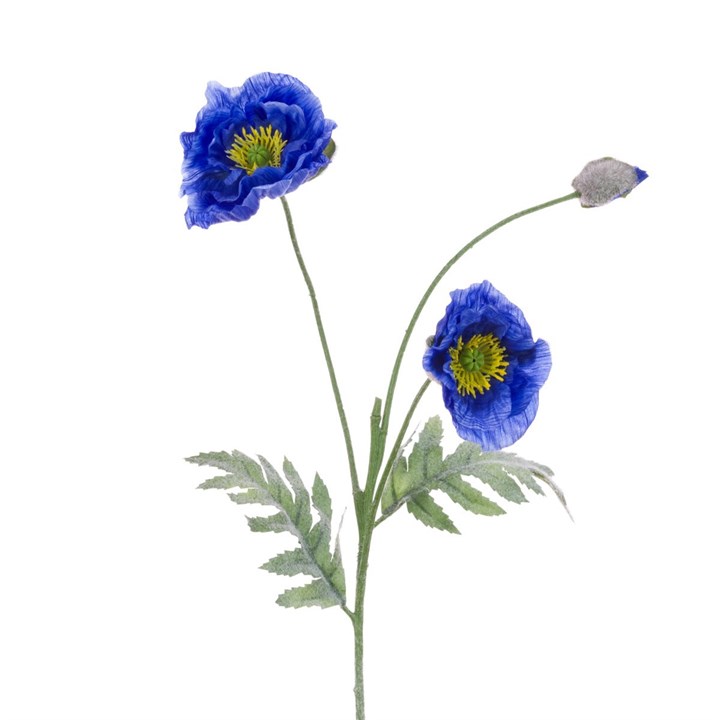 Himalayan Poppy Spray 74cm