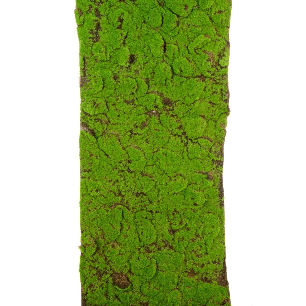 Moss Mat Roll 40x150cm