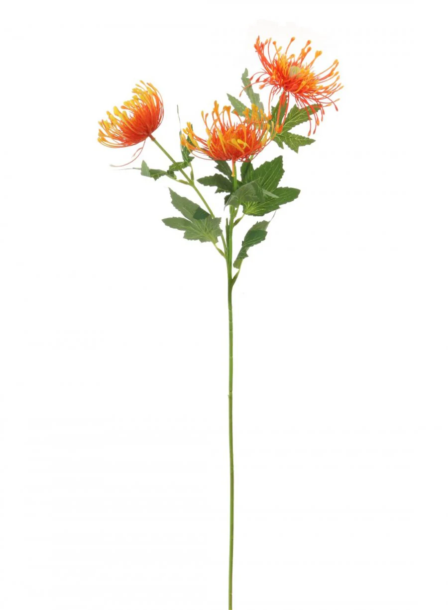 Orange Protea Spray