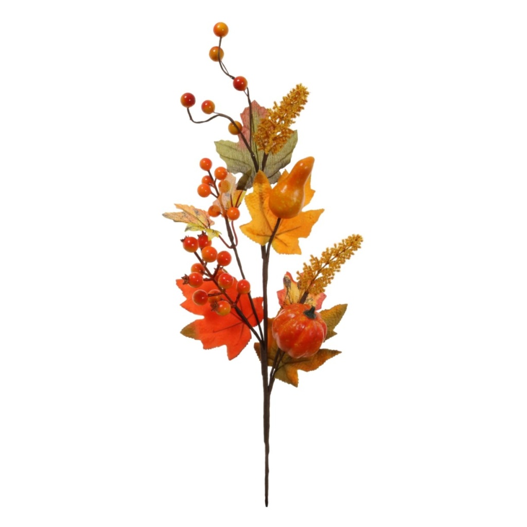 Autumn 68cm Pic