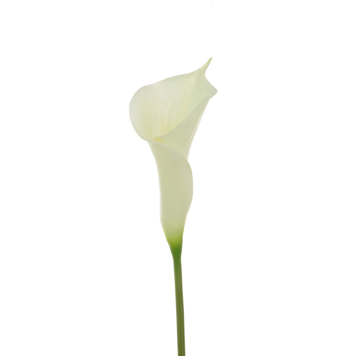 Fresh Touch Pu Calla Lily 60cm