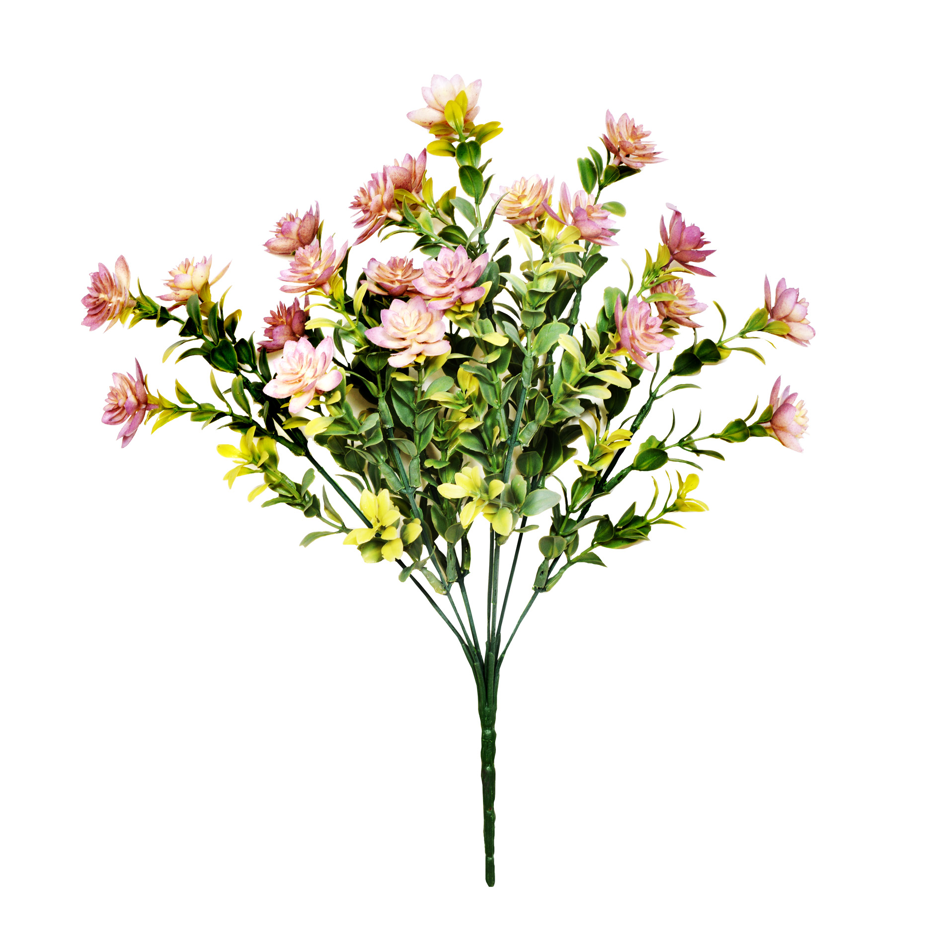 35cm Mini Succulent X 21 Bush