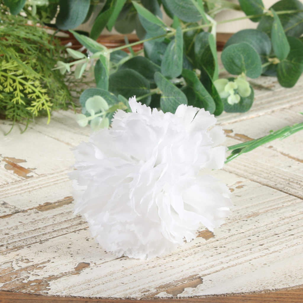 White Carnation Per Dozen