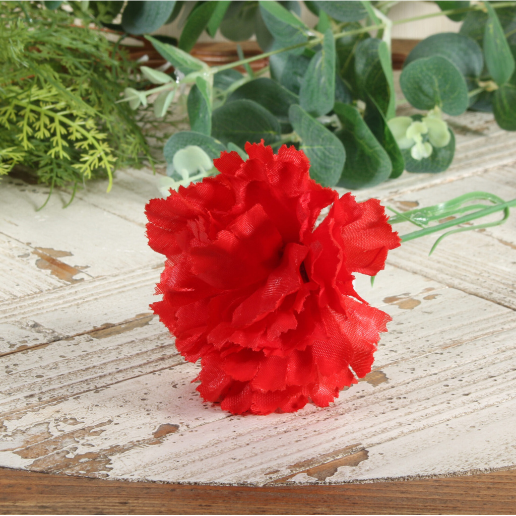 Red Per Dozen Carnation (6/144)