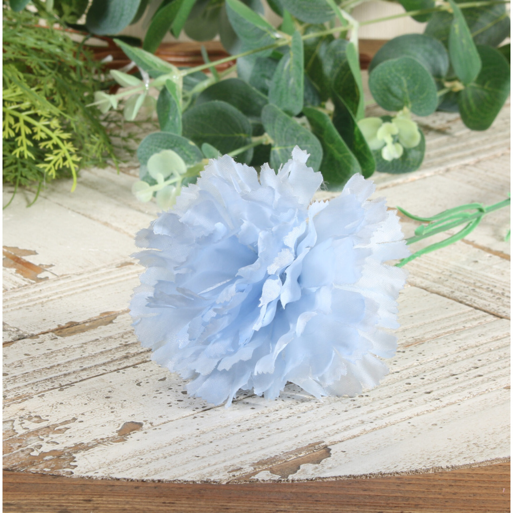 Baby Blue Per Dozen  Carnation