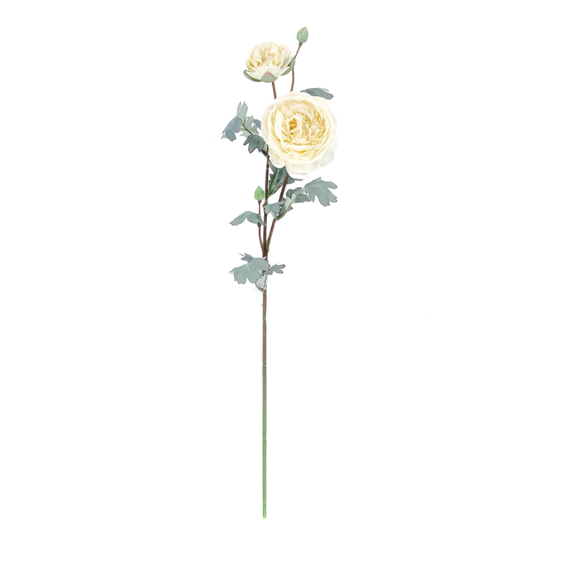 72cm Peach Peony X 2 Stem