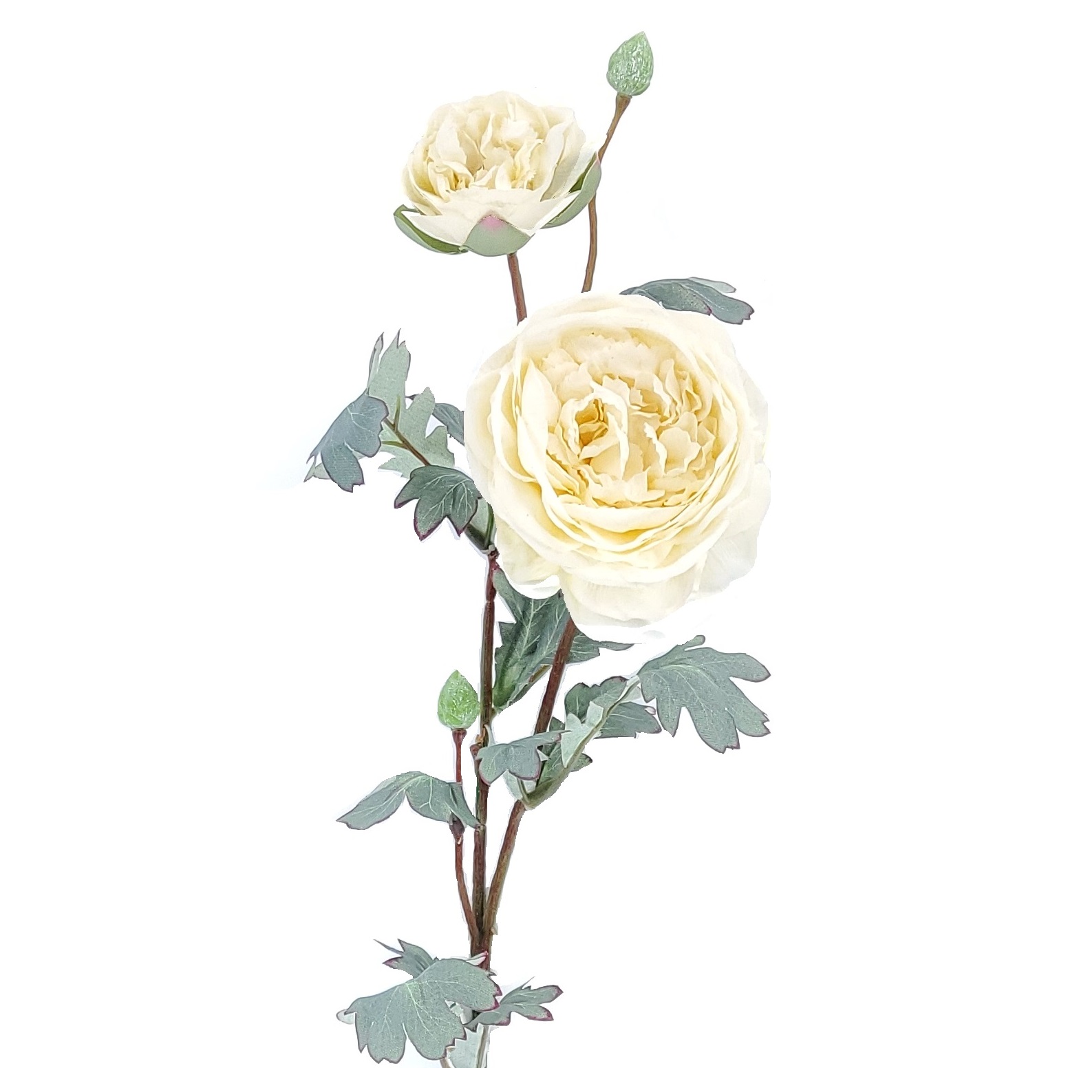 72cm Peach Peony X 2 Stem
