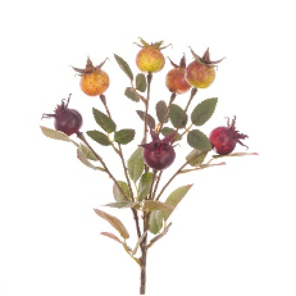 Rosehip Branch 58cm - X46862BU-OR