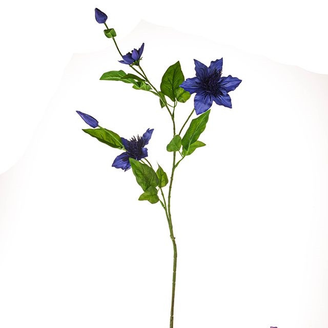 Elsa Clematis Dark Blue 79cm