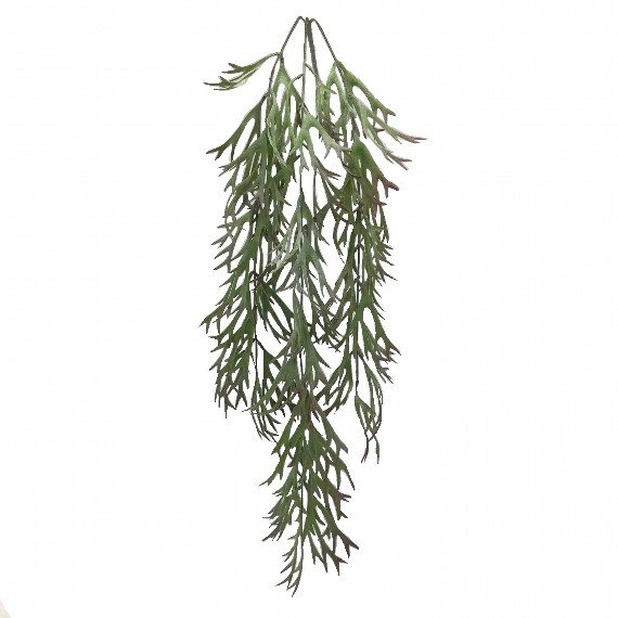 82cm Hanging Stag Horn Trail