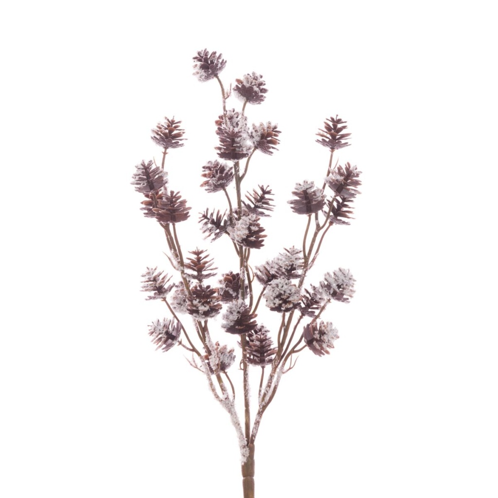 Snowy Pine Cone Bush 36cm