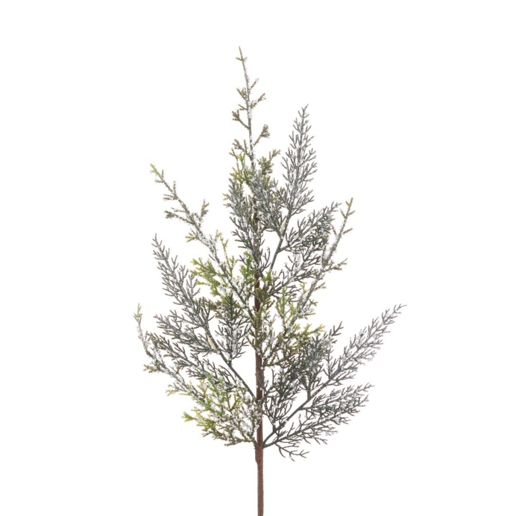 Barrowden Spray 71cm