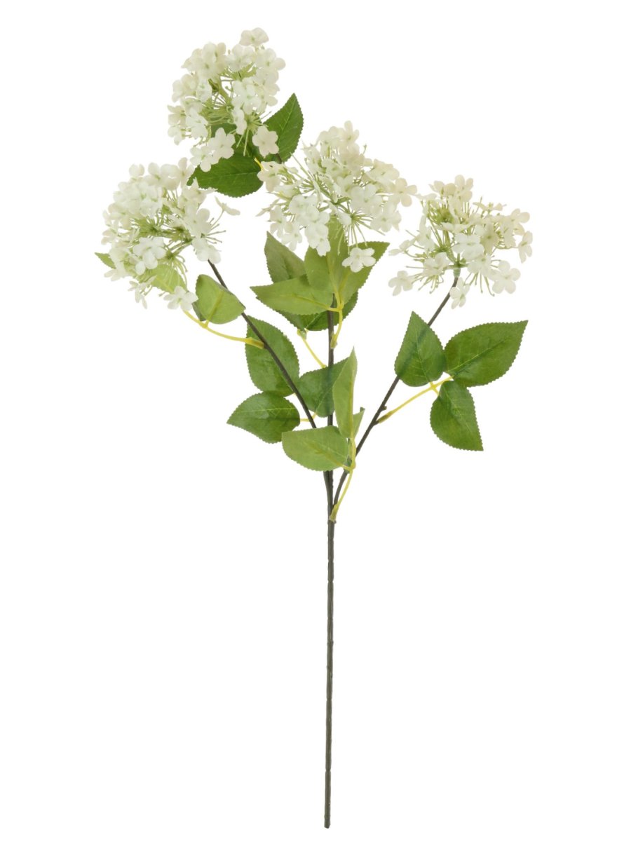 Charlotte Spray Ivory