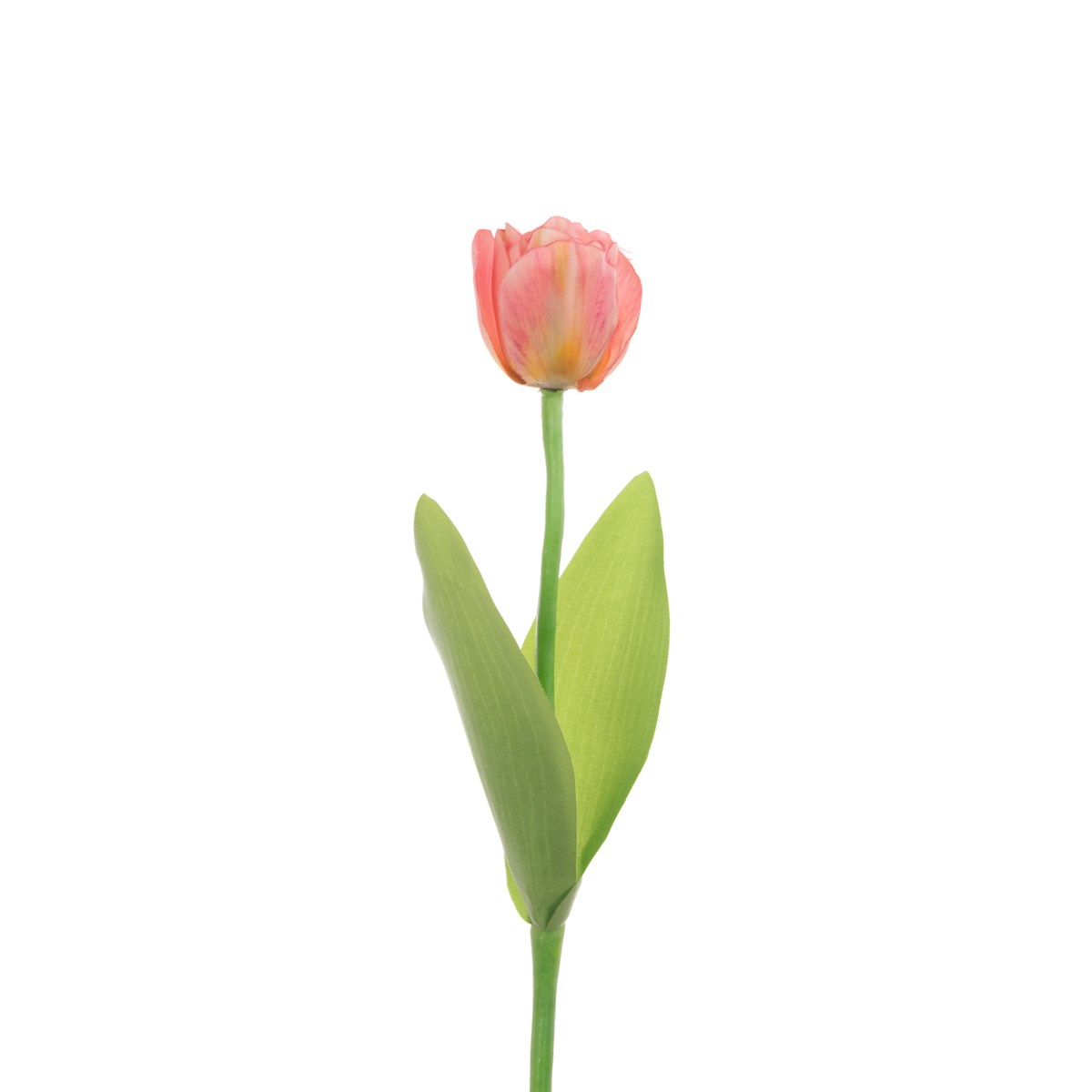 Eco Single Tulip 51cm, Light Pink