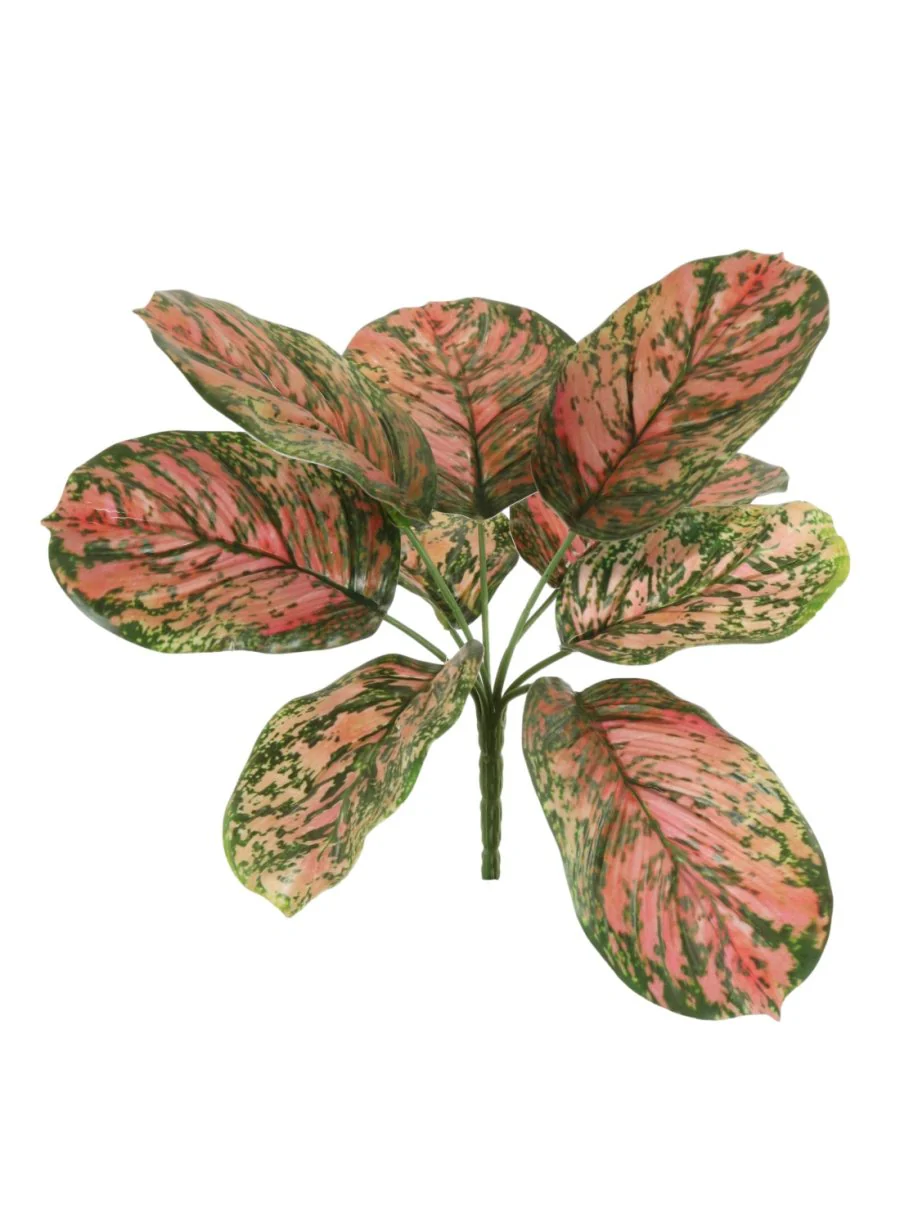 Brunnera Leaf Small Burg/green