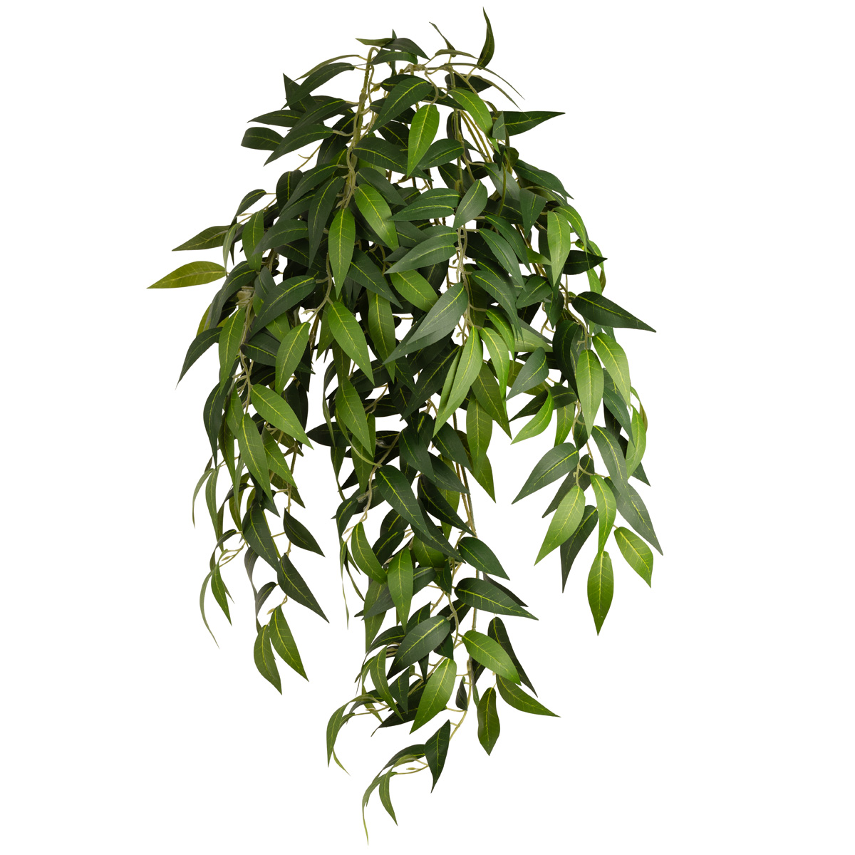 Ruscus Bush X 7 Branches