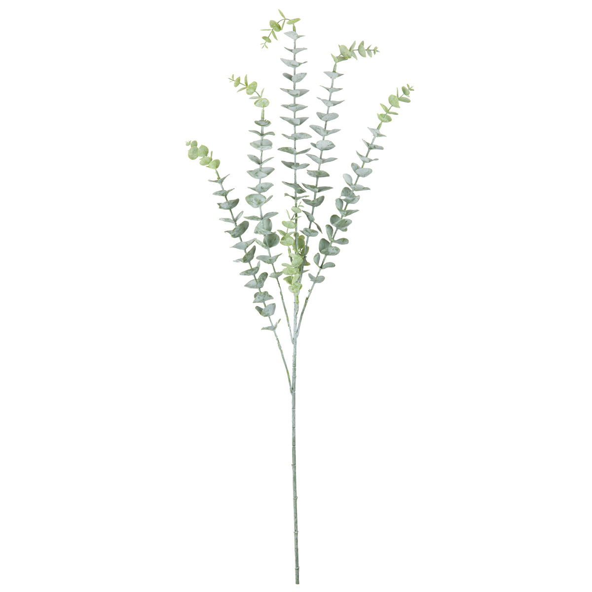 Eleganza Eucalyptus Stem X 5 Dusted Green