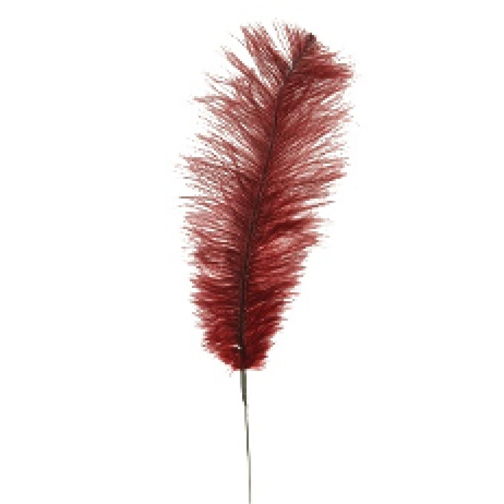 Feather Quill 76cm - FFSF127RUBY