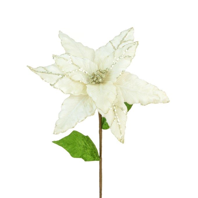 Luxury Cream Velvet Poinsettia - X33464CR
