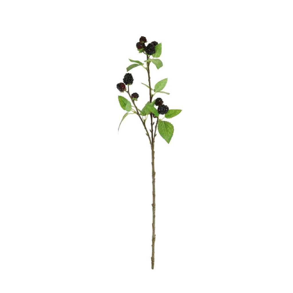 64cm Fruit Stem Blackberry - 127346