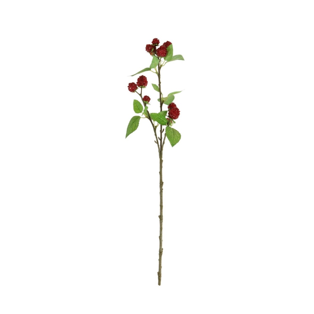 64cm Fruit Stem Raspberry - 167346