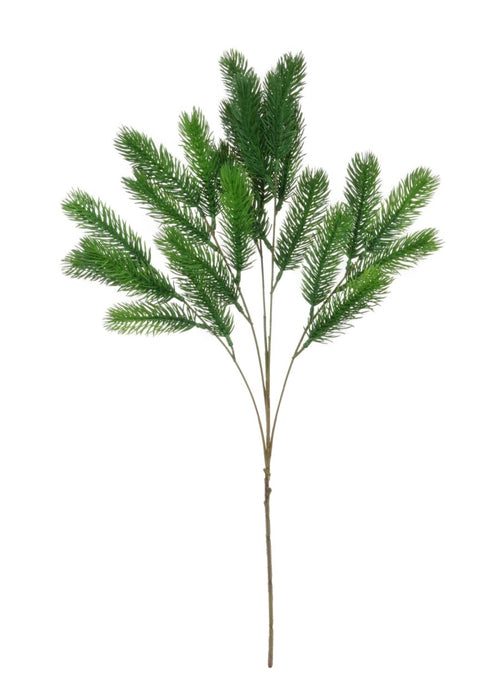 Spruce Branch - 102959