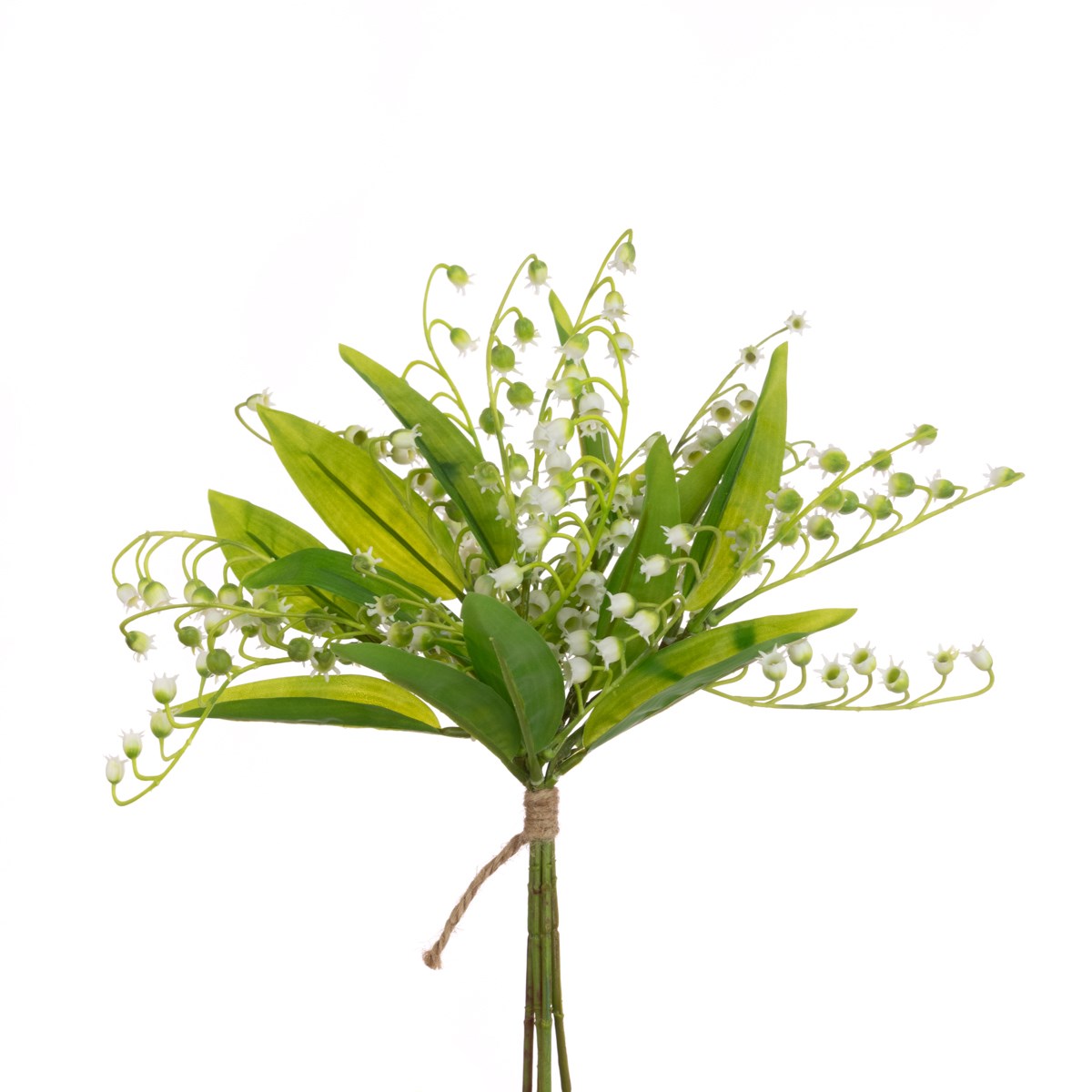 Lily Of The Valley Bundle
