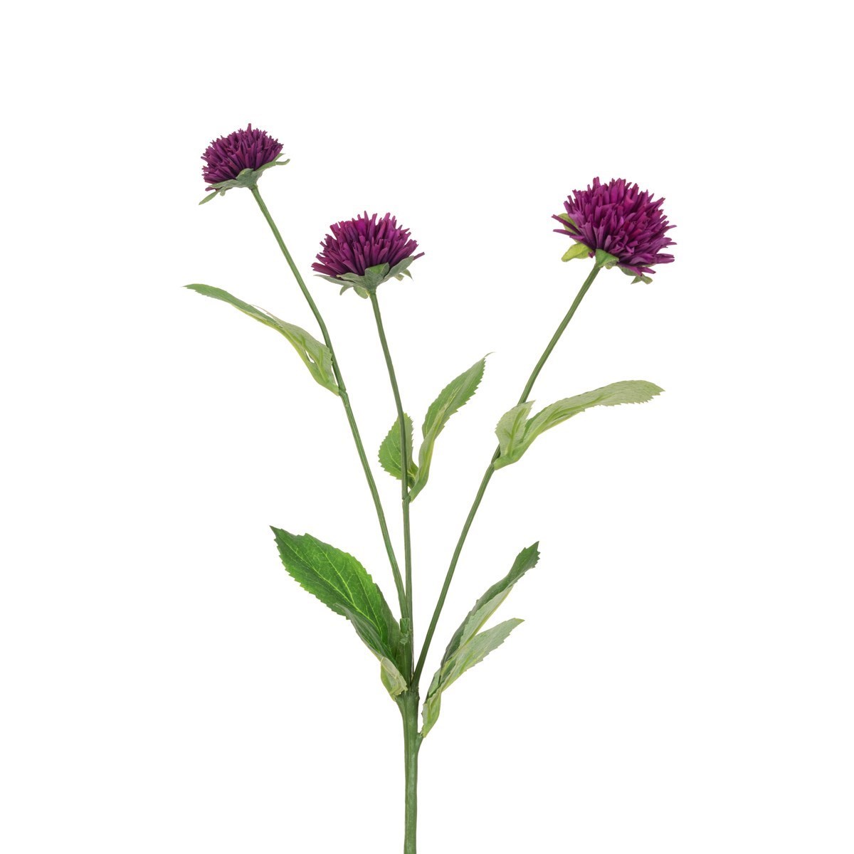 Eco Clover Spray