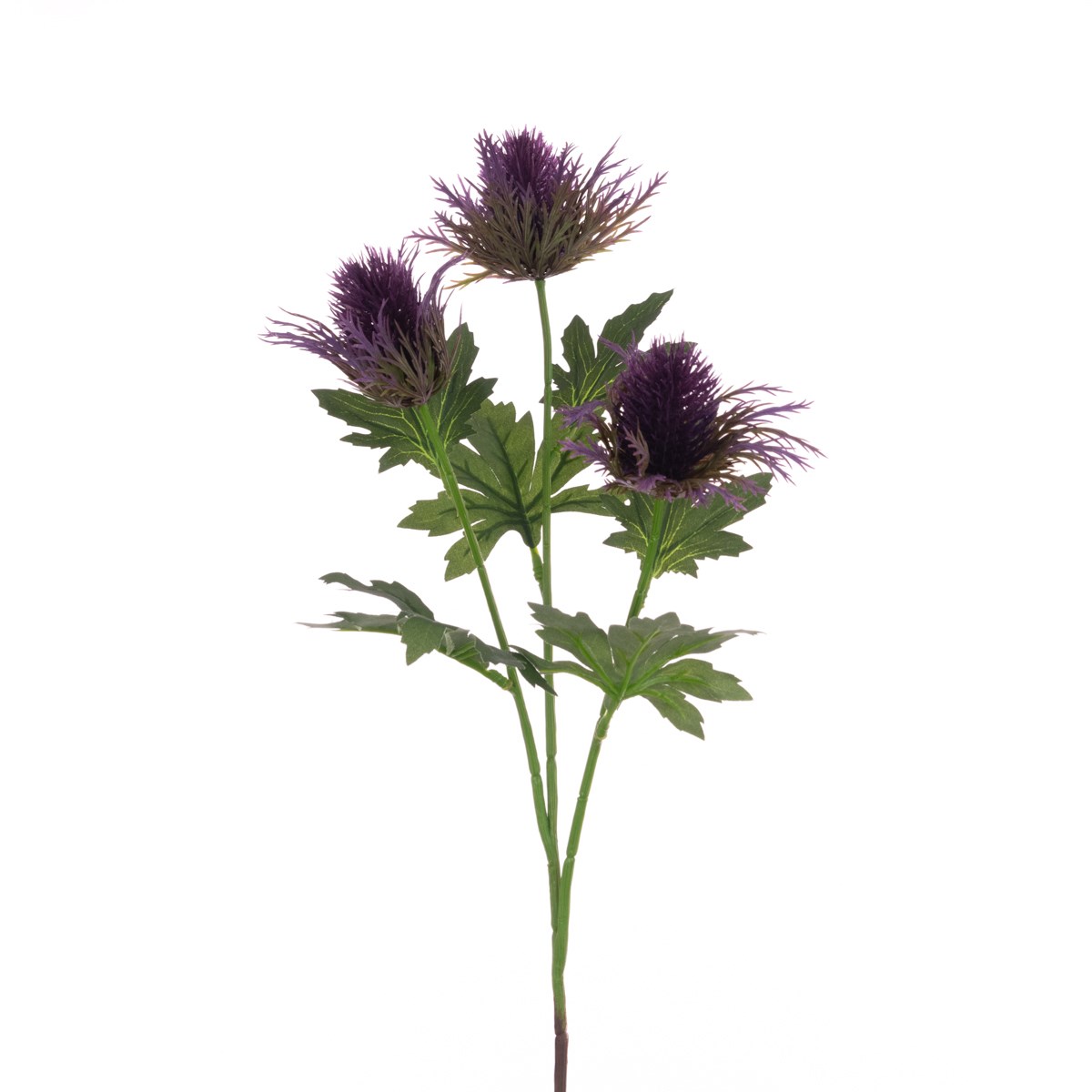 Thistle Spray