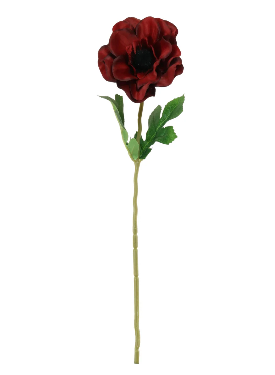 Single Anemone Stem Red