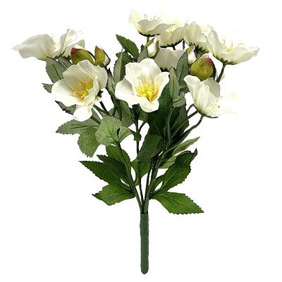 White Helebores X6 Bush - FB1434XL