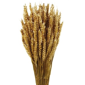 Wheat - Gold (60cm Tall)