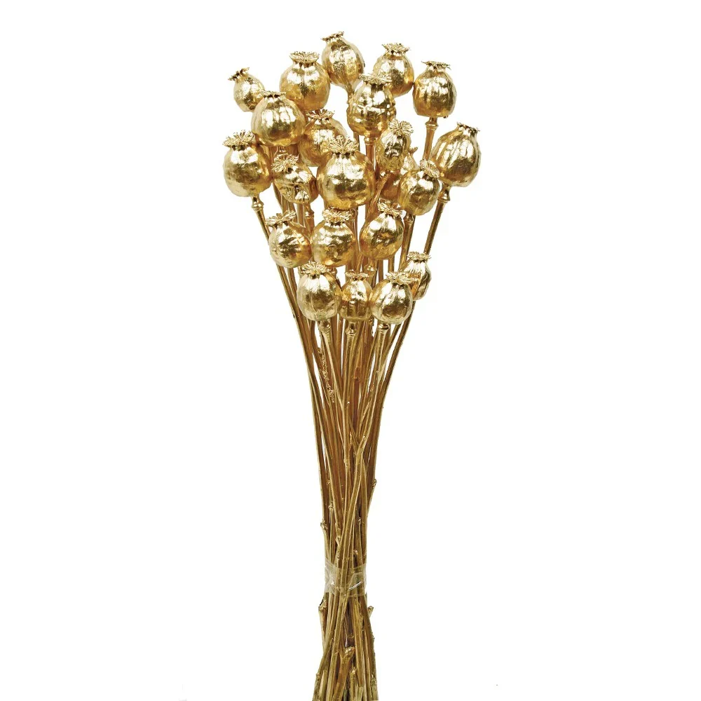 Dried Poppy Heads (papaver) - Gold (70cm Long)