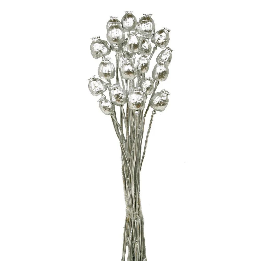 Dried Poppy Heads (papaver) - Silver (70cm Long)