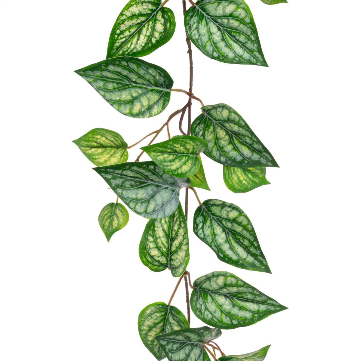 Eco Devil's Ivy Garland Uv-152