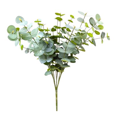 Eucalyptus X 15 Bush