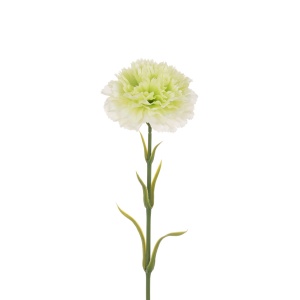 Carnation Stem 58cm