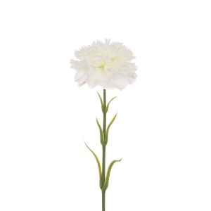 Carnation Stem 58cm