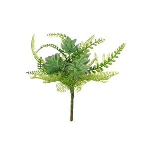 Fern & Succulent Bunch Green