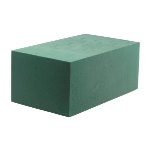 Oasis Wet Foam Jumbo X 1