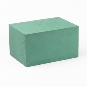 Oasis Wet Foam Jumbo X 3