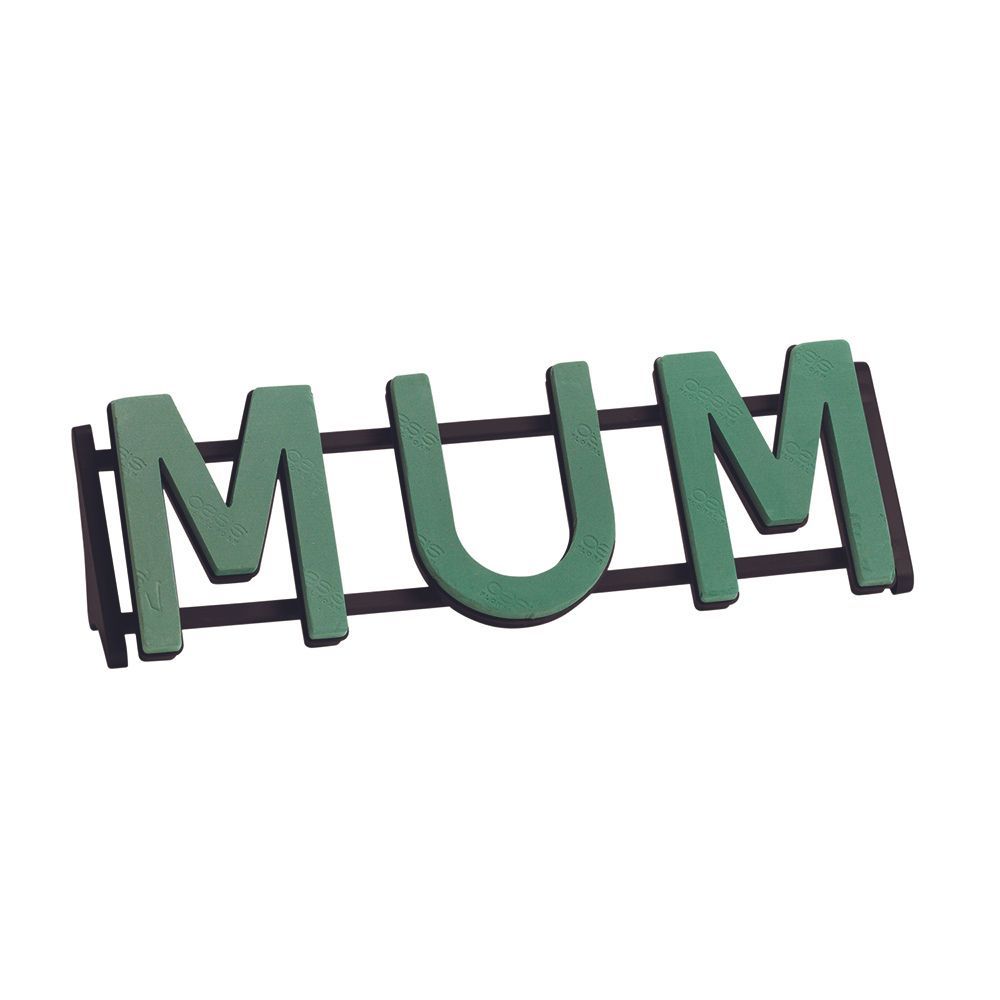 Oasis Naylorbase Mum Tribute (x1 Per Pack)