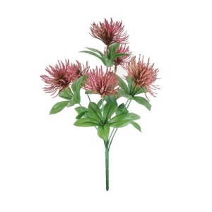 Burgandy Protea X 7 Bush