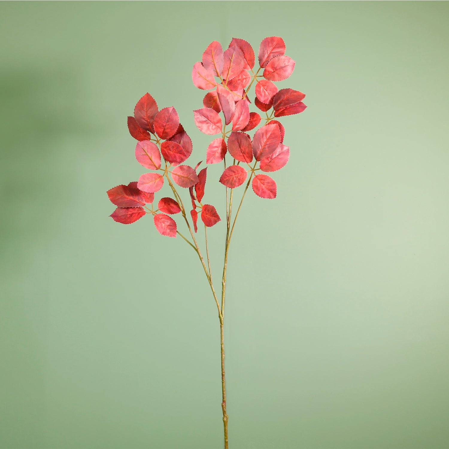 Printed Dogwood Leaf Spray Red - 049389