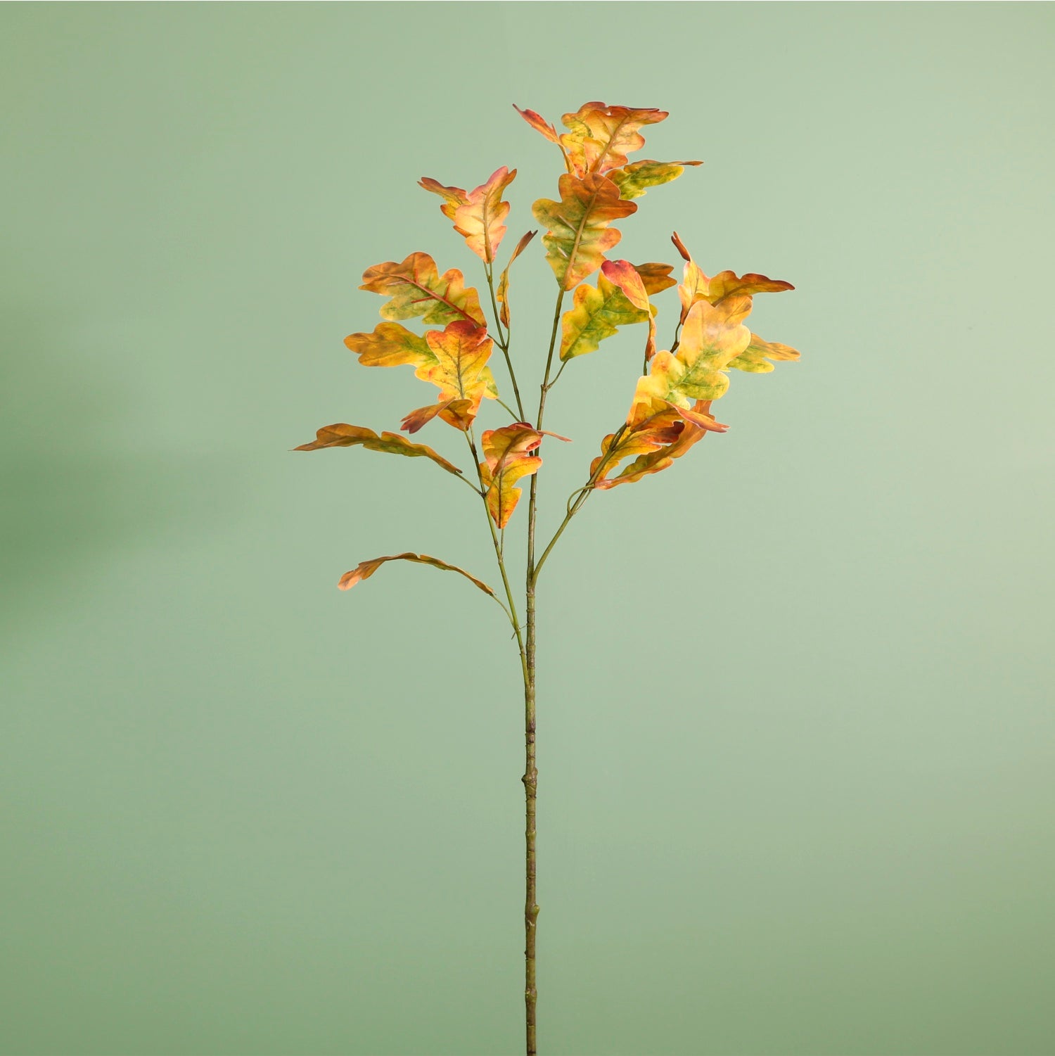 Printed Autumn Oak Leaf Spray Orange - 050388